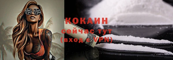 гидра Касимов