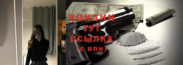 гидра Касимов