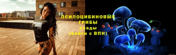 ешки Карпинск