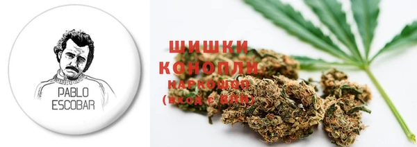 гидропоника Карталы