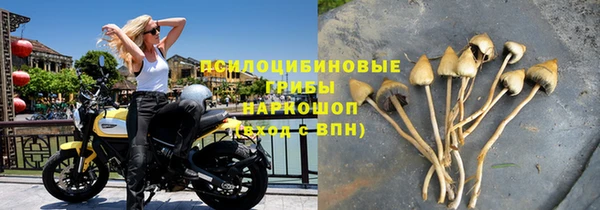 гидра Касимов