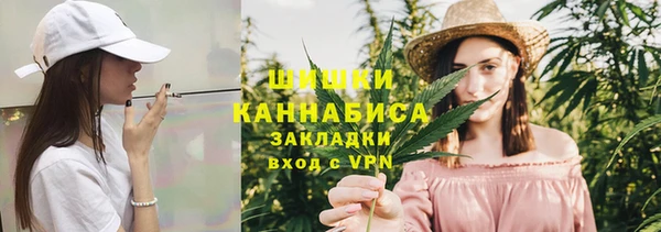 гидра Касимов